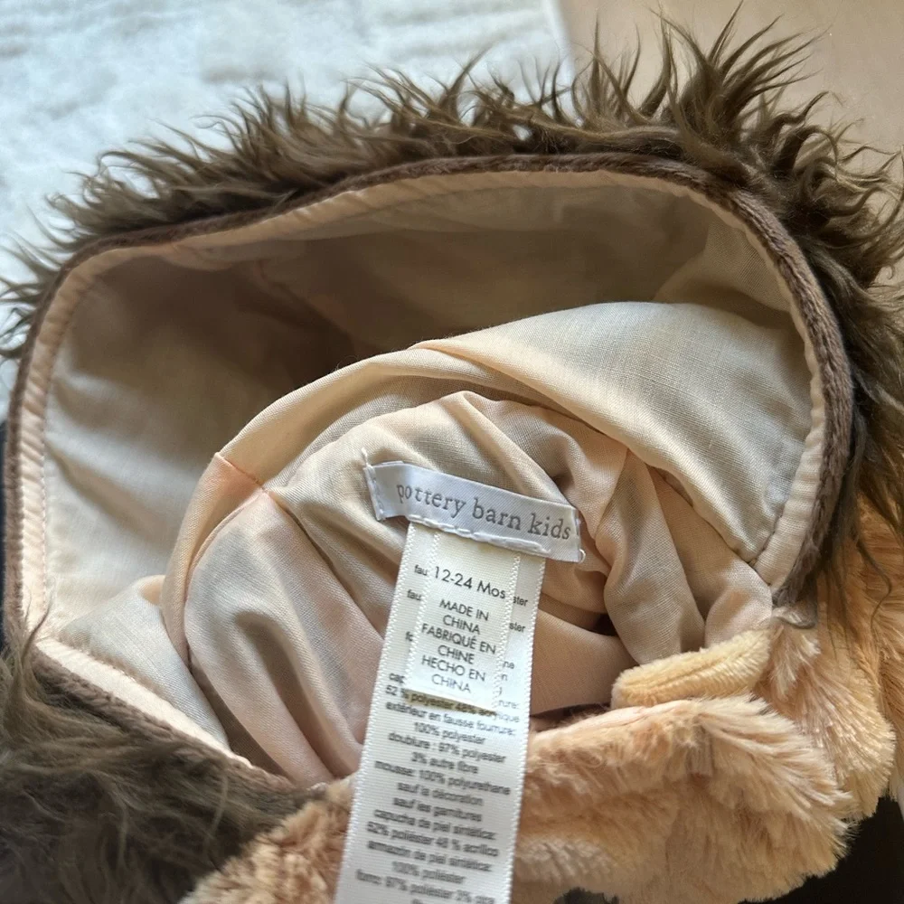Baby Lion costume! Pottery Barn Kids!